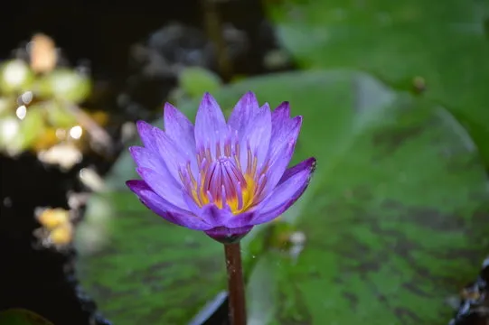 数据分析图表示例